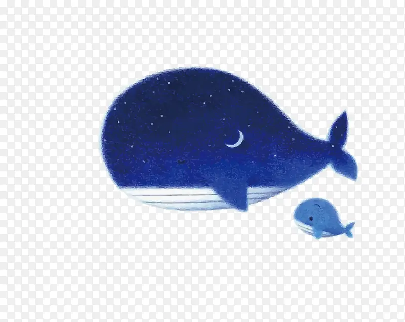 矢量蓝色鲸鱼