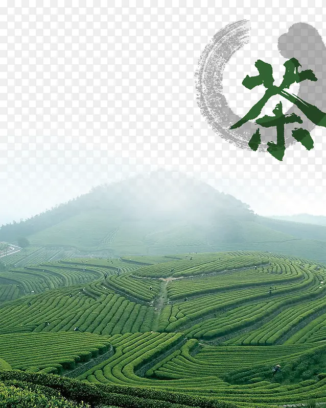 茶山