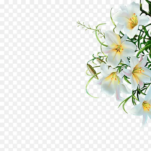 中秋节高清多图层素材 花朵