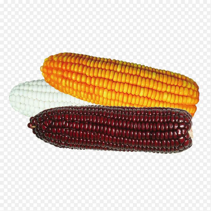 彩色玉米