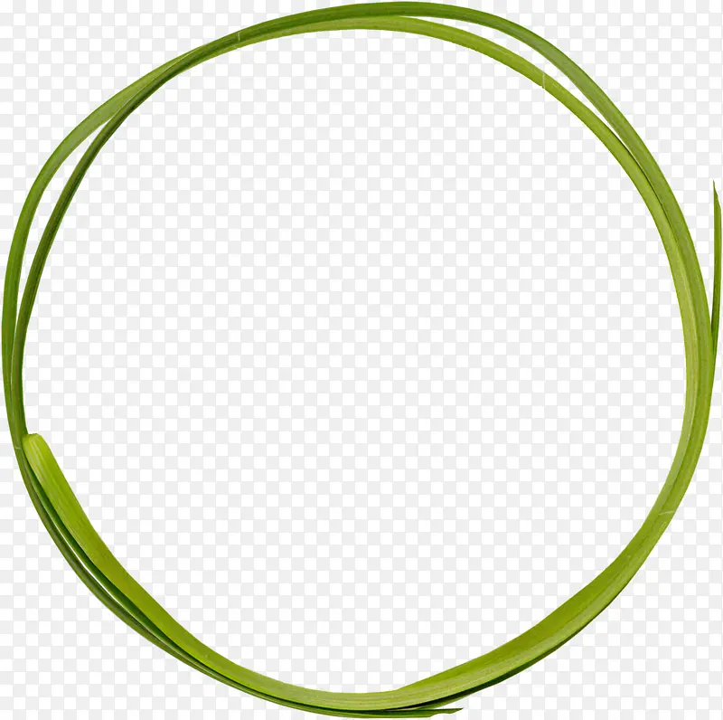 绿色叶子圆环