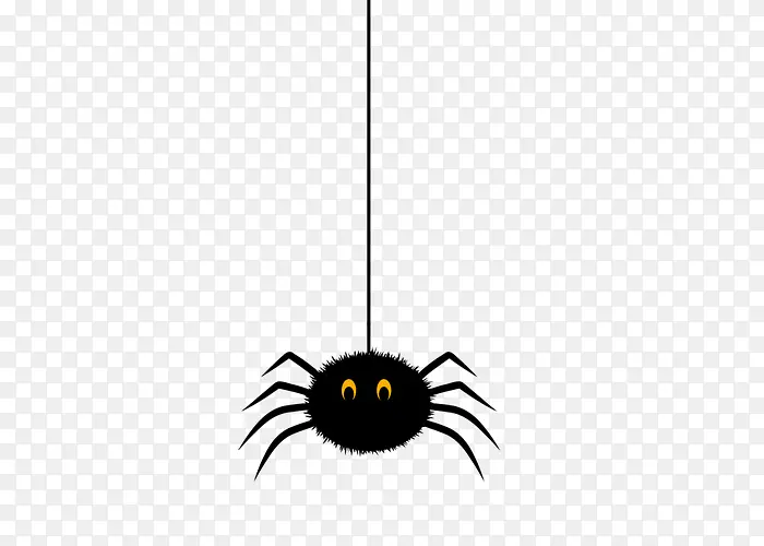 一只黑色蜘蛛