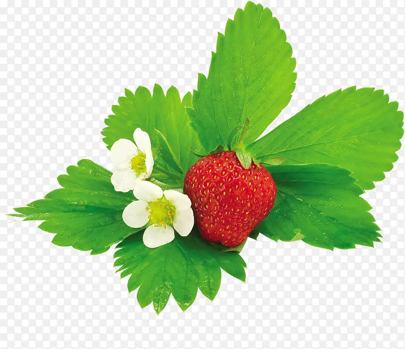 小花和草莓