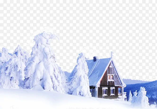 雪白的树和房子