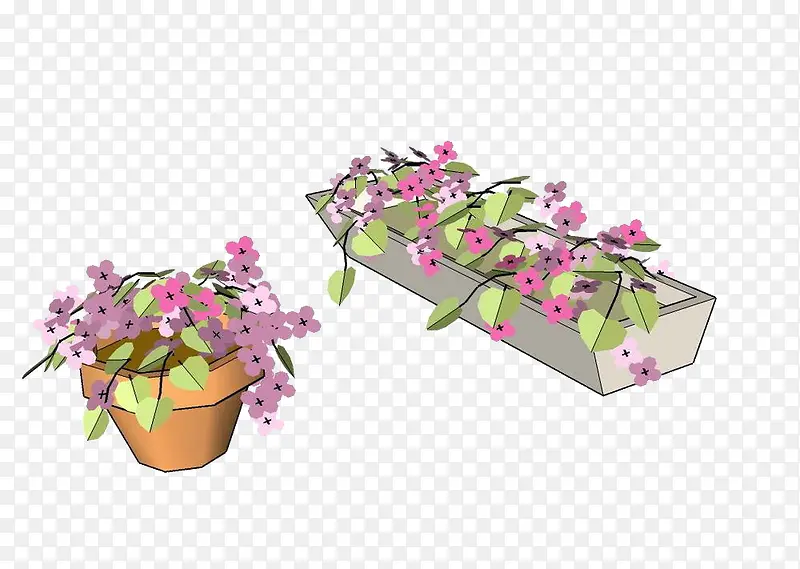 凤仙花 植物 插画 鲜花