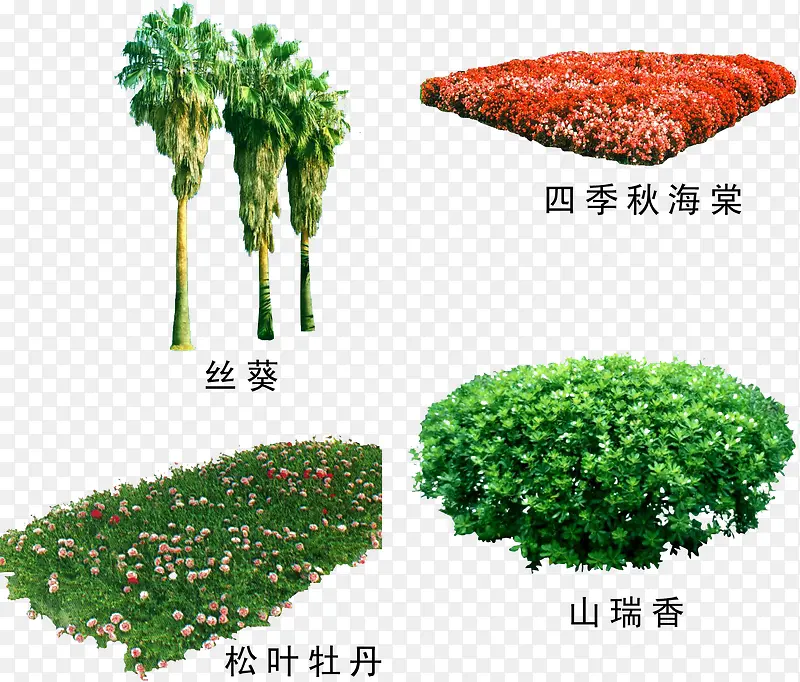 绿植树木素材