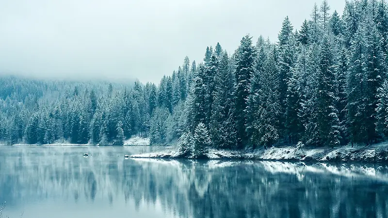 森林湖冰雪宽屏背景