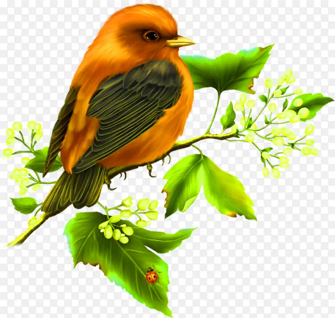 花鸟装饰图案logo社