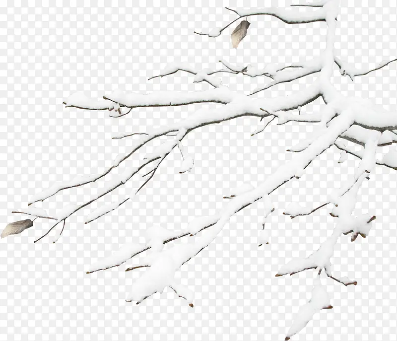 高清冬季树枝雪花装饰