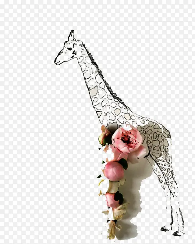 长颈鹿与花