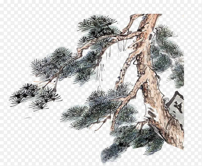 松树PNG图片素材下载_图片编号9471383-PNG素材网
