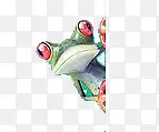 青蛙 3D 手绘