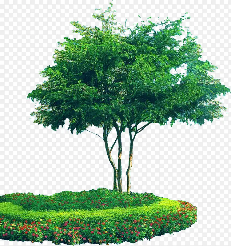绿色植物装饰图PNG图片素材下载_图片编号9476262-PNG素材网