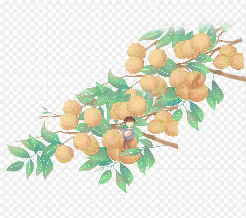 手绘果树与树叶装饰