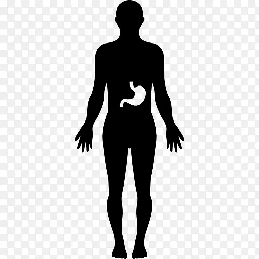 胃在人体内图标
