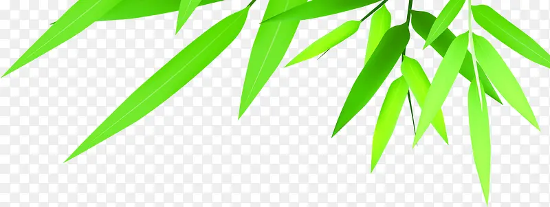 竹叶绿叶端午节点缀