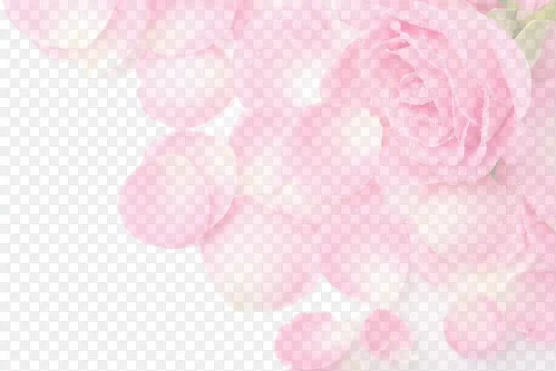 淡粉色玫瑰海报背景