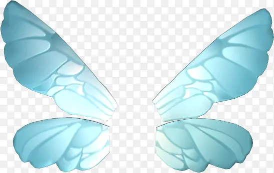 蝴蝶翅膀素材
