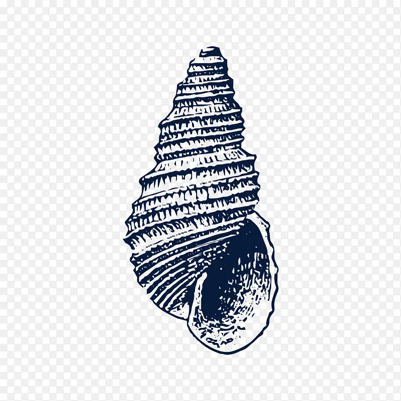 手绘黑色海螺装饰图