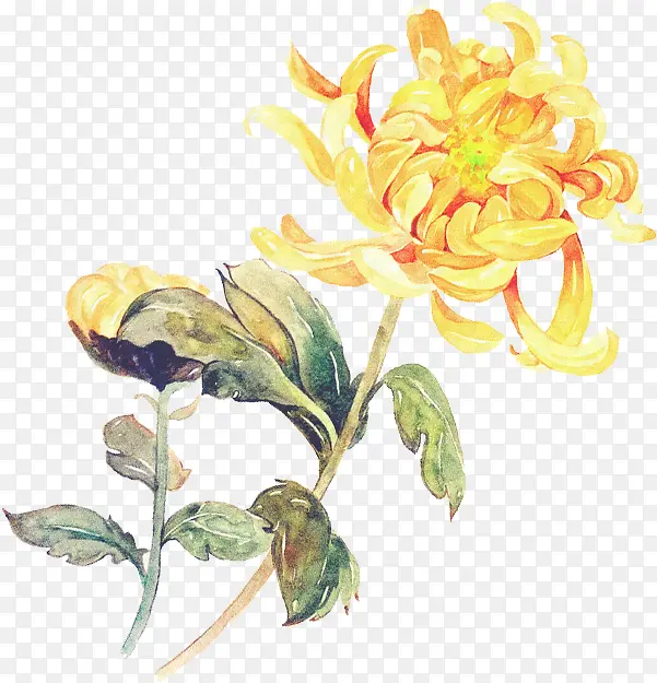 创意高清合成黄色的鲜艳的菊花