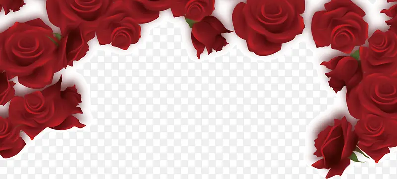浪漫酒红色花朵玫瑰