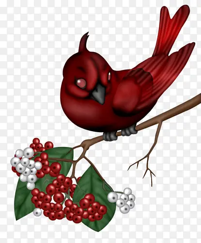 红色小啄木鸟