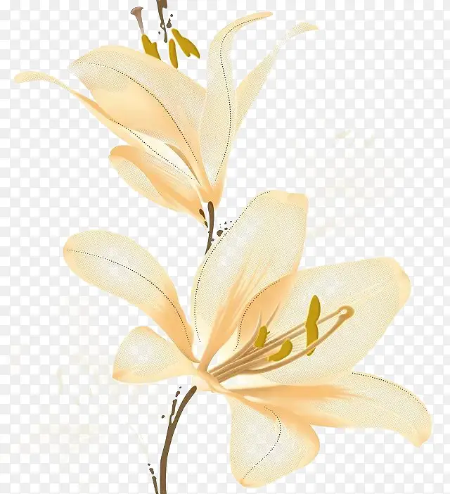 一枝花背景素材PNG图片素材下载_图片编号9515795-PNG素材网