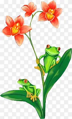 卡通青蛙 绿色叶子 红色花