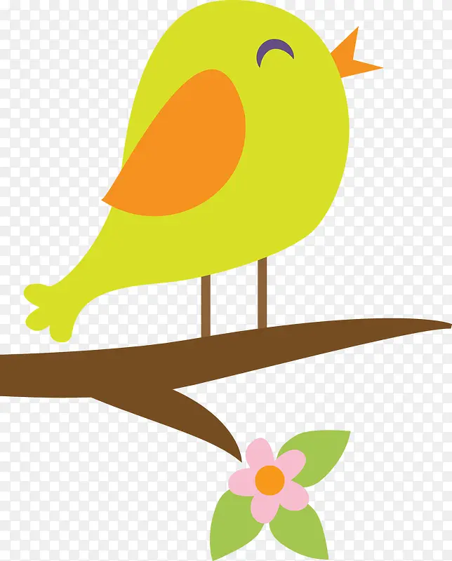 可爱的绿色小鸟