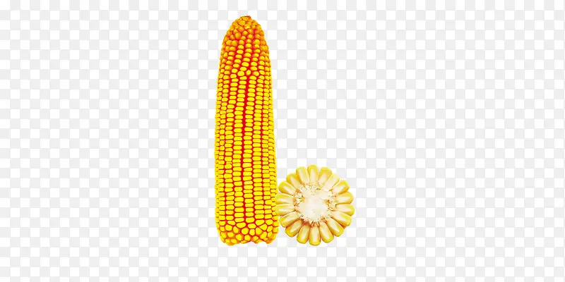 玉米b