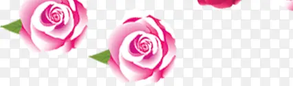粉色玫瑰情人节活动页面