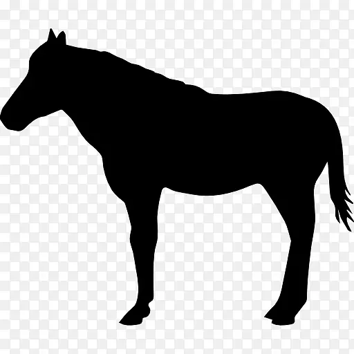 马站在黑色的形状从侧面图标