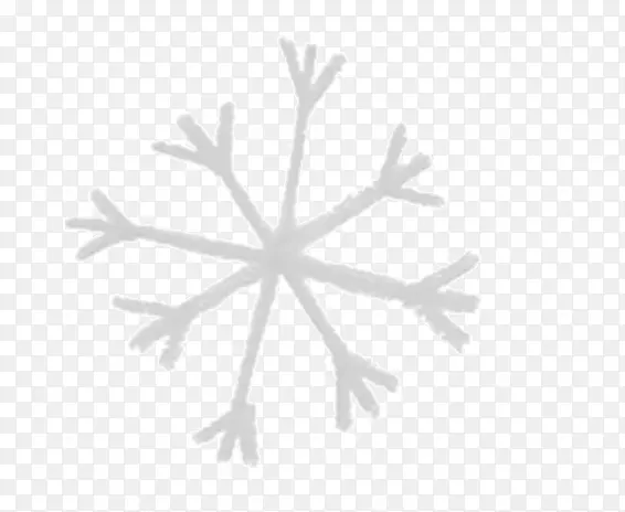 雪花