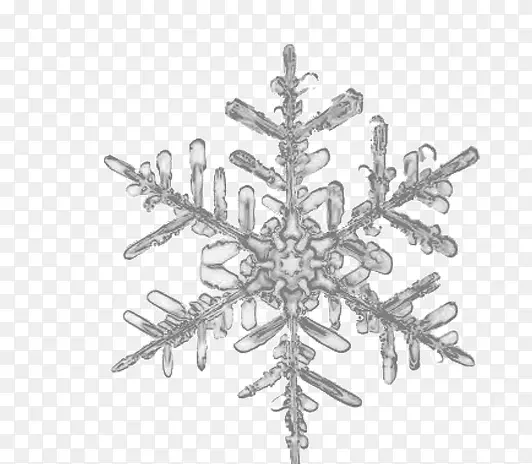 雪花