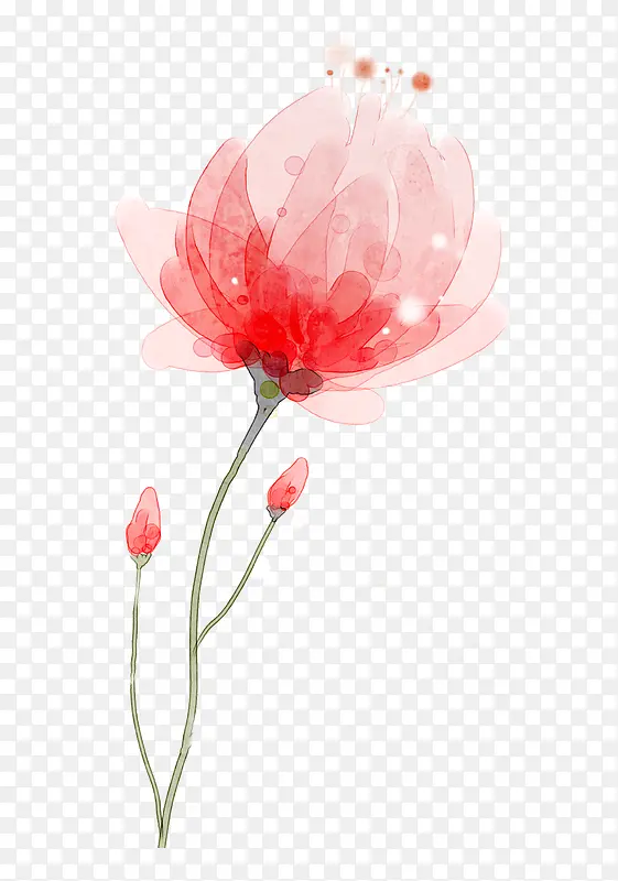 红色水粉花朵装饰图案