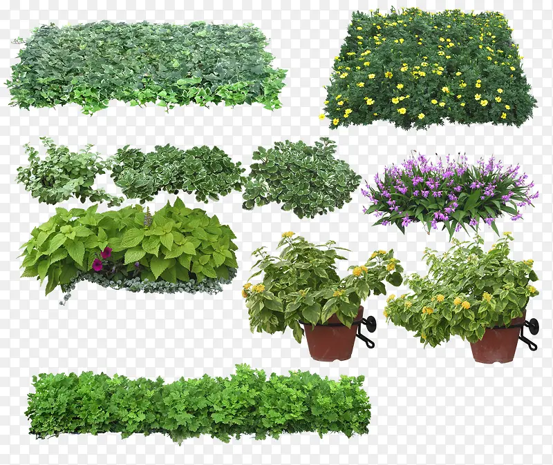 绿色植物PNG图片素材下载_图片编号9539124-PNG素材网