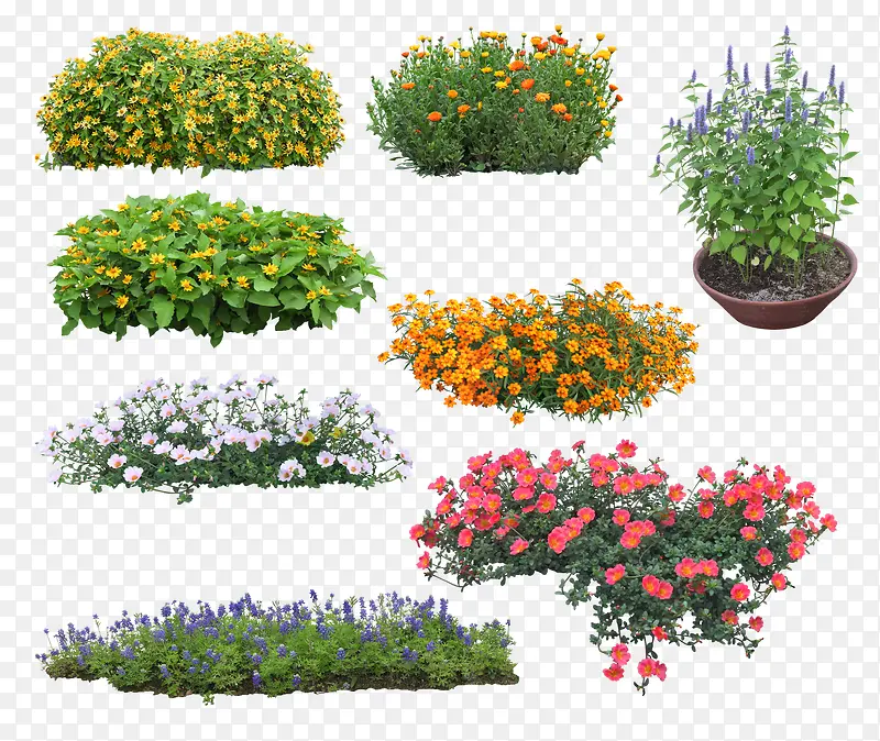 绿色植物PNG图片素材下载_图片编号9539120-PNG素材网