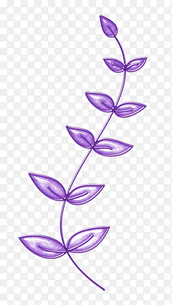 紫色花叶装饰