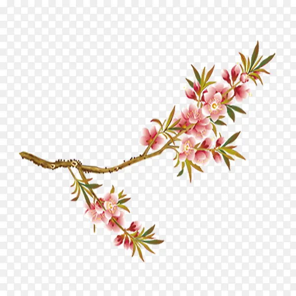 桃花枝花朵春天免费图片
