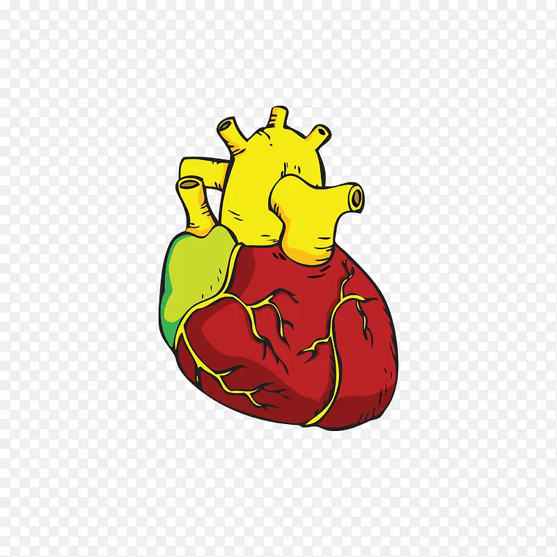 简约卡通心脏血管矢量图