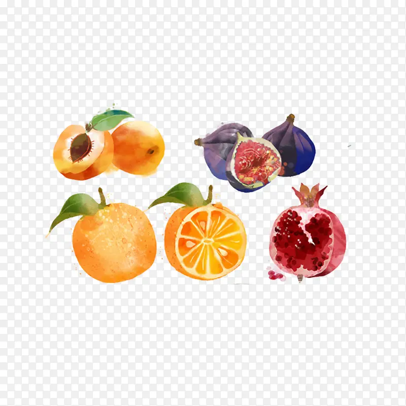 橙子石榴桃子手绘水彩水果