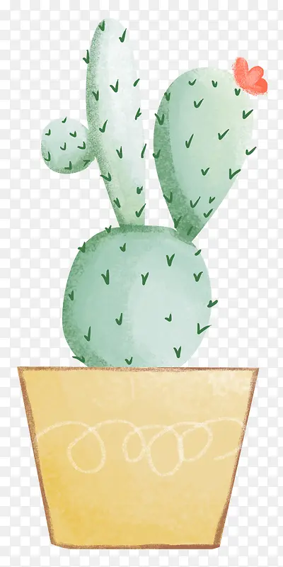手绘装饰仙人掌植物盆栽