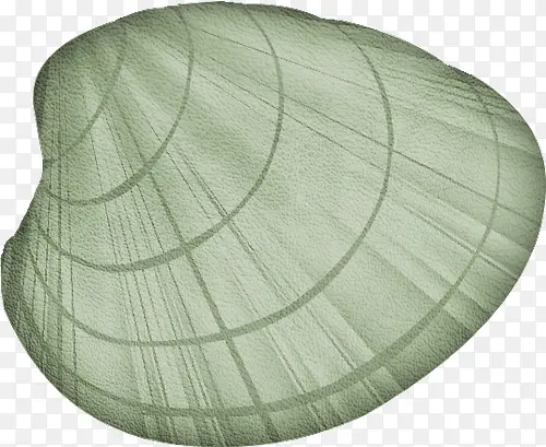 绿色贝壳