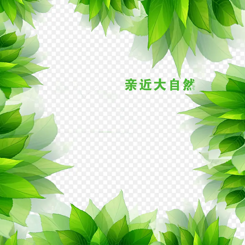 草丛花边