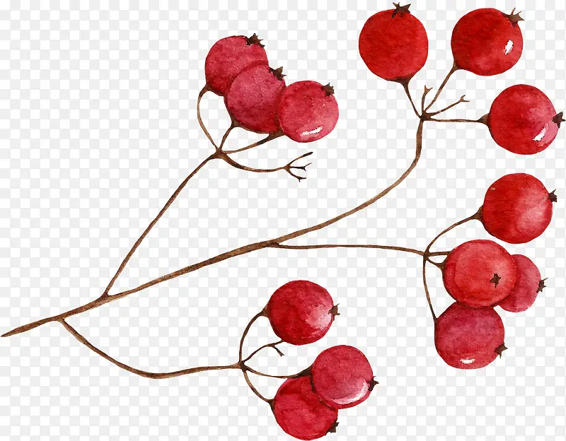 卡通手绘红色的果子
