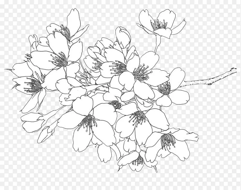 线描工笔花朵