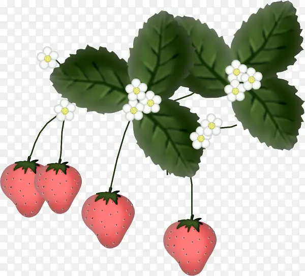 草莓小花绿叶