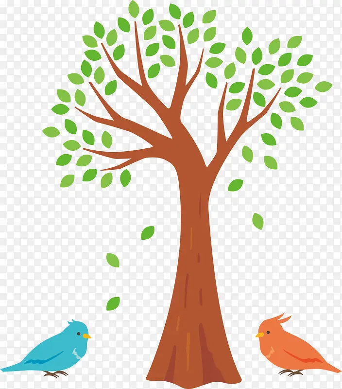 褐色春季小鸟树木