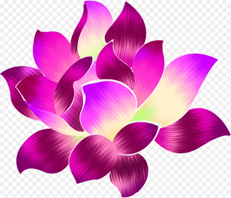 创意手绘质感紫色的莲花效果