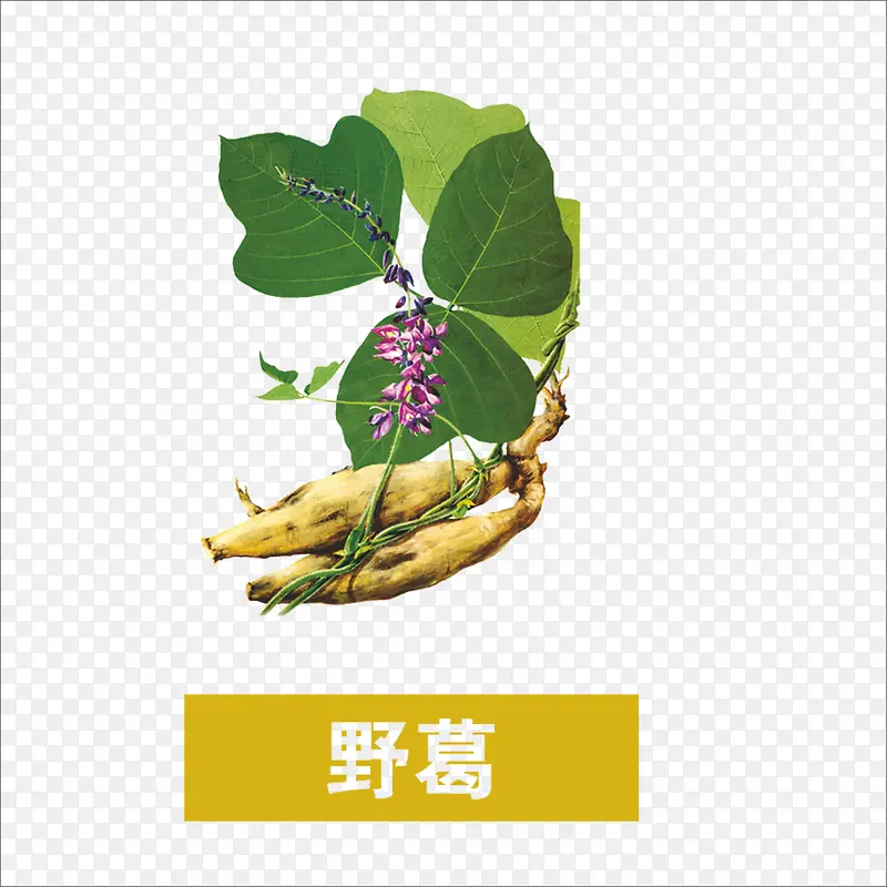 野葛